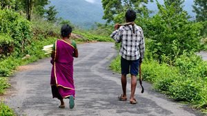 అడవి బిడ్డల ఆత్మబంధువు ‘వెదురు’